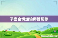 子宫全切加输卵管切除