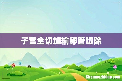 子宫全切加输卵管切除