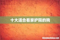 十大适合看家护院的狗