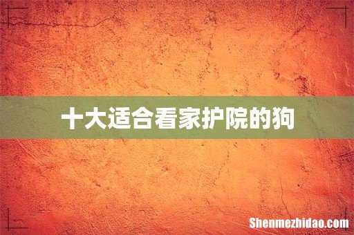 十大适合看家护院的狗