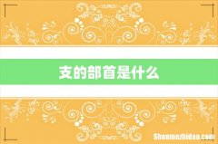 支的部首是什么