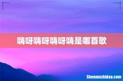 嗨呀嗨呀嗨呀嗨是哪首歌