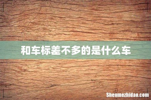 和车标差不多的是什么车