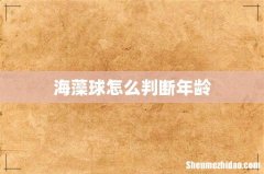 海藻球怎么判断年龄