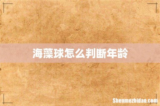 海藻球怎么判断年龄