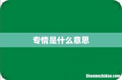 专情是什么意思