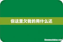 你这里欠我的用什么还