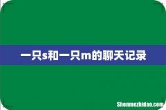一只s和一只m的聊天记录