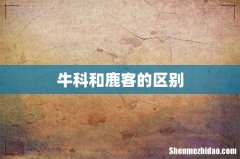 牛科和鹿客的区别