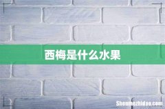 西梅是什么水果