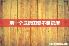 用一个成语回复不明觉厉