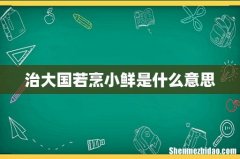 治大国若烹小鲜是什么意思