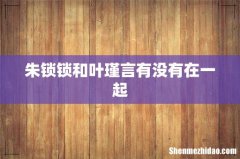 朱锁锁和叶瑾言有没有在一起