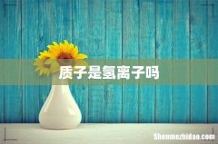 质子是氢离子吗