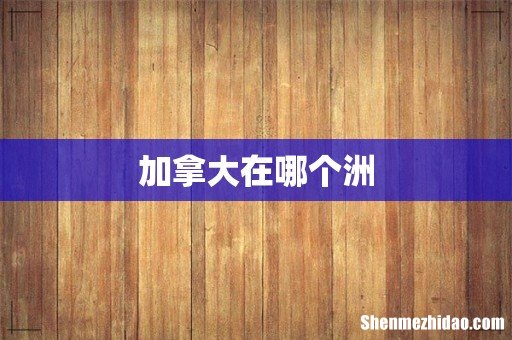 加拿大在哪个洲