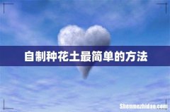 自制种花土最简单的方法