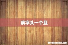 病字头一个且