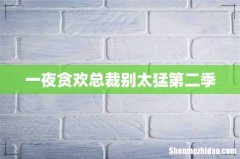 一夜贪欢总裁别太猛第二季