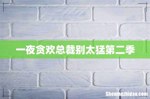 一夜贪欢总裁别太猛第二季