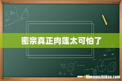 密宗真正肉莲太可怕了