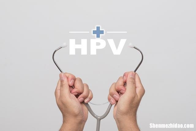 有关hpv的创业项目 生产hpv的上市公司有哪些