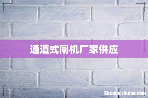 通道式闸机厂家供应