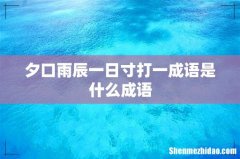 夕口雨辰一日寸打一成语是什么成语