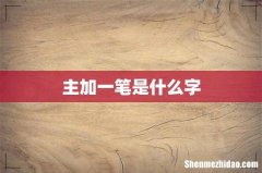 主加一笔是什么字