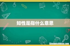 知性是指什么意思