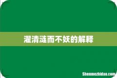 濯清涟而不妖的解释