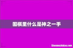 围棋里什么是神之一手