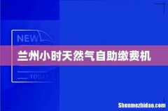 兰州小时天然气自助缴费机