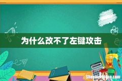 为什么改不了左键攻击