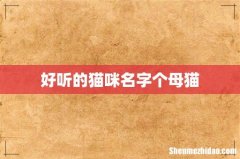 好听的猫咪名字个母猫