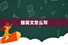 猪英文怎么写
