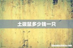 土拨鼠多少钱一只