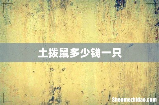 土拨鼠多少钱一只
