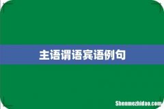 主语谓语宾语例句