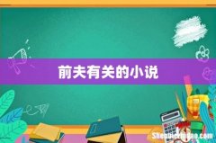 前夫有关的小说