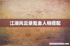 江湖风云录氪金人物搭配