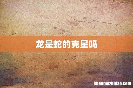 龙是蛇的克星吗