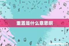 重置是什么意思啊