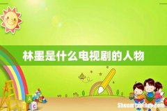 林墨是什么电视剧的人物
