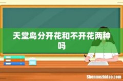 天堂鸟分开花和不开花两种吗