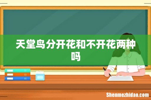 天堂鸟分开花和不开花两种吗