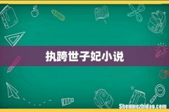 执跨世子妃小说