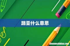 路亚什么意思