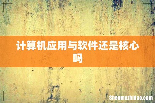 计算机应用与软件还是核心吗