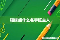 猫咪起什么名字旺主人