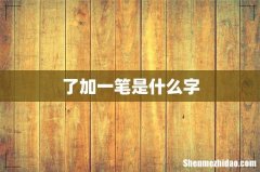 了加一笔是什么字